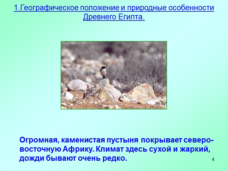 4 Огромная, каменистая пустыня покрывает северо-восточную Африку. Климат здесь сухой и жаркий, дожди бывают